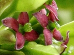 szk080407 018.01.jpg