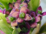 szk080407 021.01.jpg