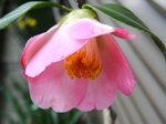 szk080409 009.01.jpg
