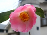 szk080409 010.01.jpg