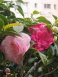 szk080412 002.01.jpg