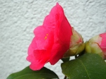 szk080412 007.01.jpg