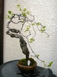 szk080412 008.01.jpg