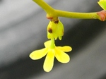 szk080412 011.01.jpg