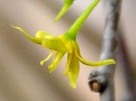 szk080412 012.01.jpg