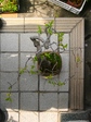 szk080412 014.01.jpg