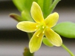 szk080412 015.01.jpg