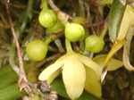 szk080412 022.01.jpg