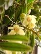 szk080412 023.01.jpg