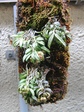 szk080412 024.01.jpg