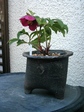 szk080413 001.01.jpg