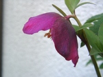 szk080413 002.01.jpg