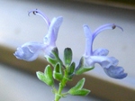 szk080413 010.01.jpg