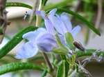 szk080413 012.01.jpg