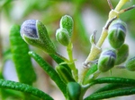 szk080413 013.01.jpg