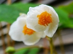 szk080413 019.01.jpg