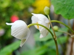 szk080413 020.01.jpg