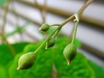 szk080413 021.01.jpg