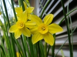 szk080413 027.01.jpg