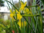 szk080413 028.01.jpg