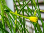 szk080413 031.01.jpg