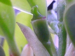 szk080415 003.01.jpg