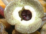 szk080415 034.01.jpg