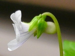 szk080419 003.01.jpg