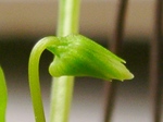 szk080419 004.01.jpg