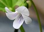 szk080419 005.01.jpg