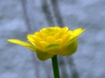 szk080419 007.01.jpg