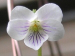 szk080419 012.01.jpg