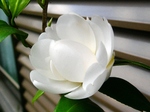 szk080419 025.01.jpg