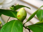 szk080419 026.01.jpg