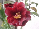 szk080419 030.01.jpg