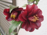 szk080419 032.01.jpg
