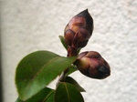 szk080419 033.01.jpg