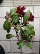 szk080419 034.01.jpg