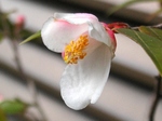 szk080419 041.01.jpg