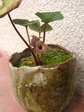 szk080426 003.01.jpg