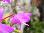 szk080429 005.01.jpg