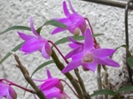 szk080429 008.01.jpg