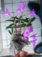 szk080429 009.01.jpg