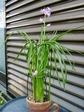 szk080429 010.01.jpg