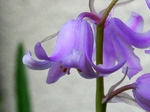 szk080429 011.01.jpg