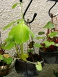 szk080429 017.01.jpg