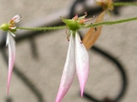 szk080429 019.01.jpg