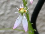 szk080429 021.01.jpg