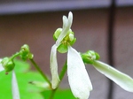 szk080429 026.01.jpg