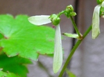 szk080429 029.01.jpg